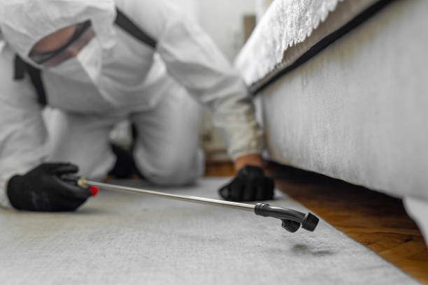 Professional Termite Control technician working in Greenacres, FL
