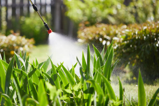 24/7 Emergency Termite Control experts in Greenacres, FL